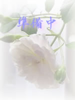 ヒトミ